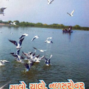 ચાલો ચાલો નળસરોવર જઈએ