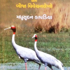 વત્સલનાં નયનો અને બીજા વિવેચનલેખો